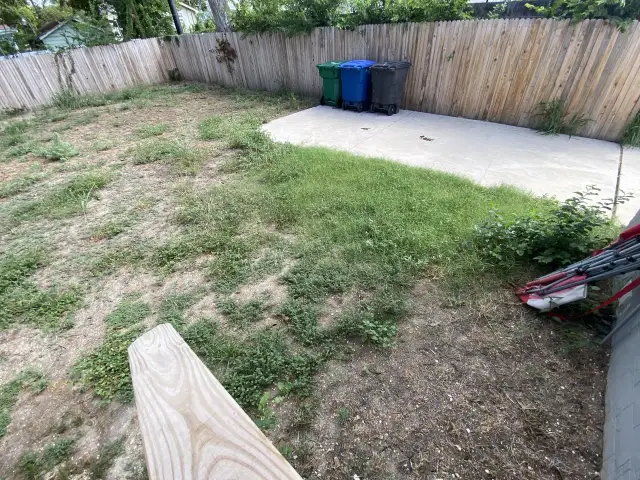 Skuteczne sposoby, aby trawa nie rosła przy płocie i zaoszczędzić czas