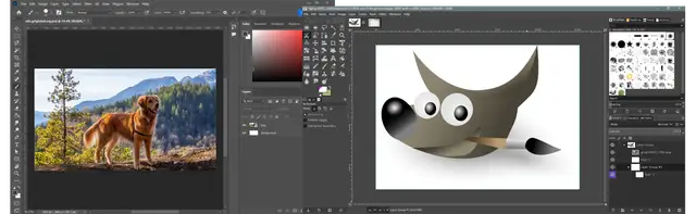 GIMP czy Photoshop? Porównanie funkcji, ceny i wyboru narzędzia