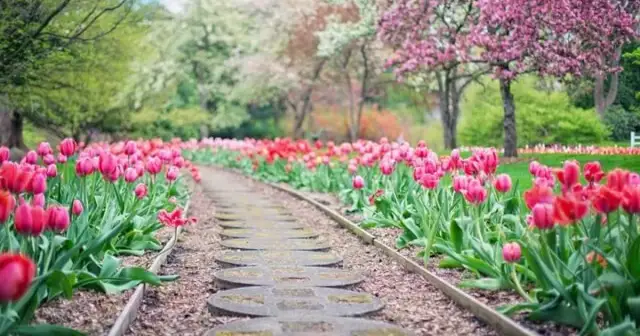 Najlepsze materiały na chodnik w ogrodzie: wybierz mądrze i oszczędzaj
