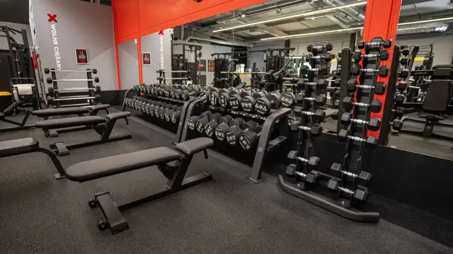 Siłownie Przeworsk: Twój przewodnik po najlepszych klubach fitness