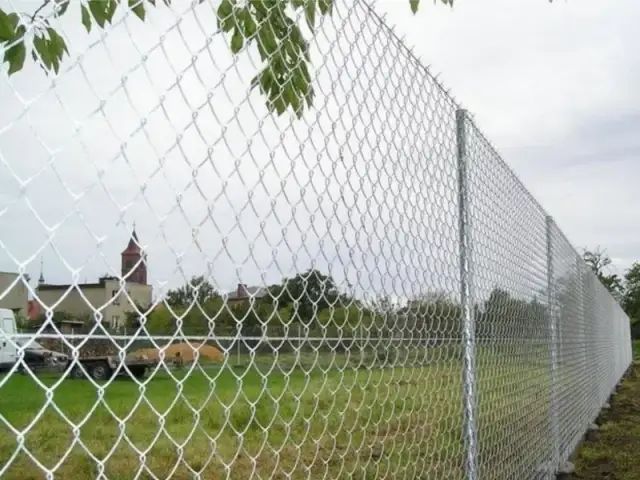 Produkcja siatki ogrodzeniowej: Czy to opłacalny biznes w Polsce?