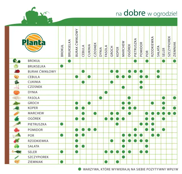 Jakie warzywa opłaca się uprawiać, aby zwiększyć zyski w ogrodzie