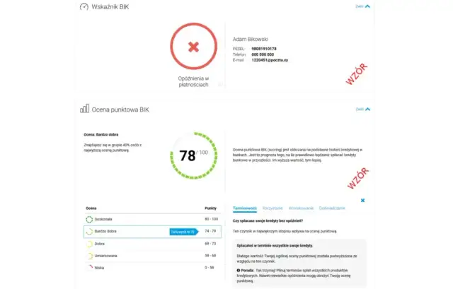 BIK za darmo? Tak! Jak pobrać kopię danych i co zawiera?