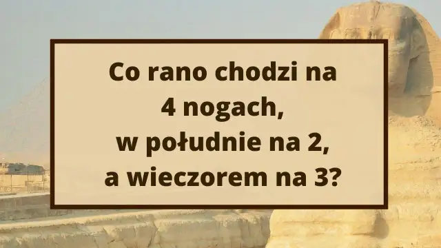Zagadki nie do rozwiązania: Czy to mit? Logika, paradoksy, miliony.
