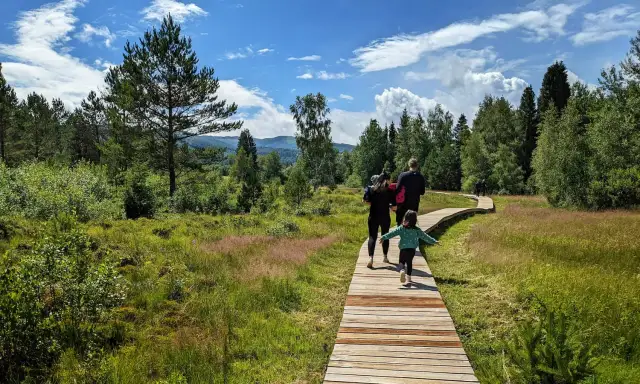 Torfowiska Bieszczady - Tarnawa. Dostępne dla każdego