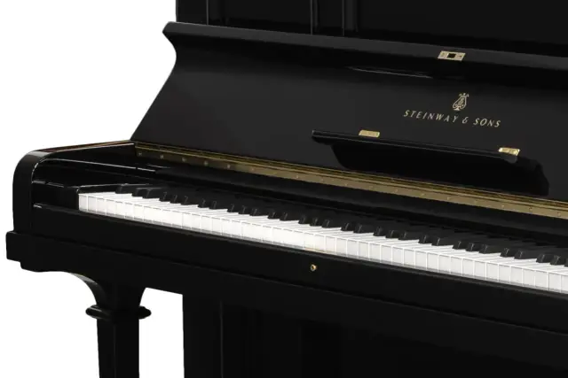 Część czarnego fortepianu z widocznymi klawiszami i złotym logo Steinway & Sons.
