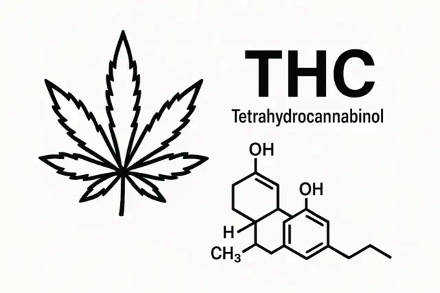 Co to jest THC? Działanie, medycyna, prawo w Polsce przewodnik