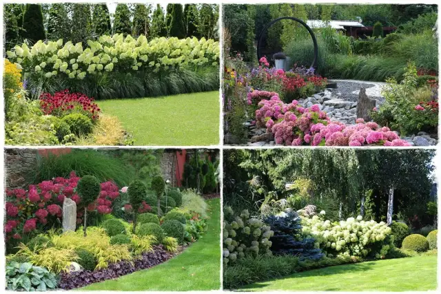 Piękne ogrody z hortensjami. Z czym łączyć te kwiaty, by stworzyć zachwycające kompozycje? Zobacz inspiracje.