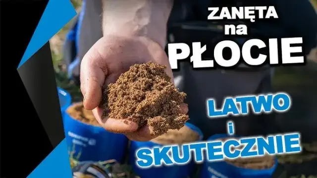 Zanęta 2,5 kg: Jak wybrać, przygotować i łowić skutecznie?