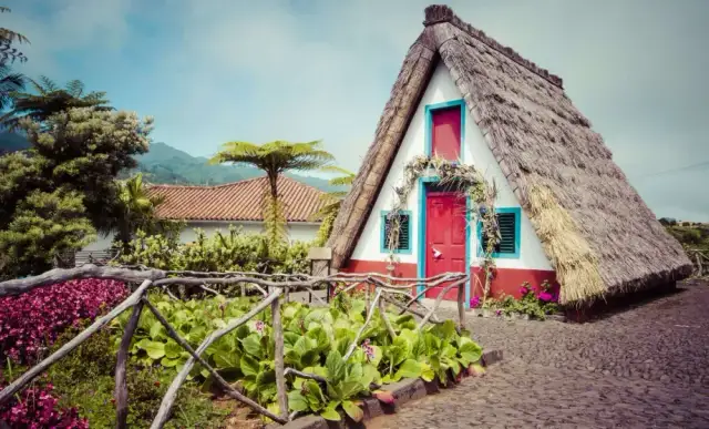 Madera nocleg: Gdzie najlepiej? Wybierz idealną bazę wypadową!