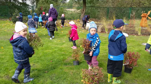 Dzieci sadzą rośliny w ogrodzie przedszkolnym.