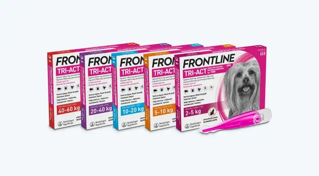 Frontline dla psa: Aplikacja krok po kroku. Uniknij błędów!