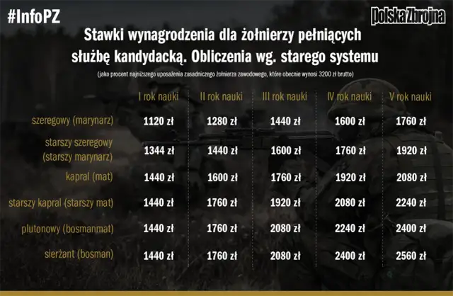 Zarobki doradcy zawodowego: Mediana, widełki i jak je zwiększyć?