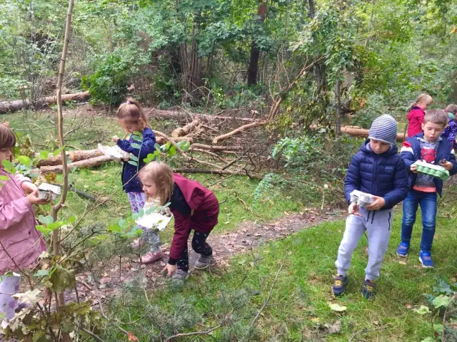 Zerówka to szkoła czy przedszkole? Poznaj kluczowe różnice