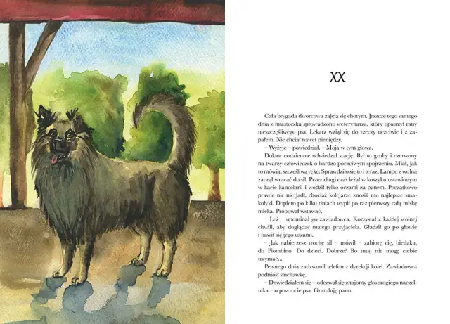 Kto jest autorem książki o psie, który jeździł koleją? Poznaj Roman Pisarski