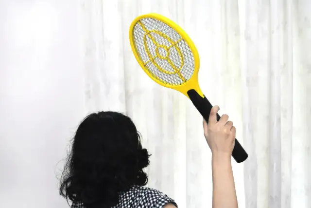 Skuteczne metody na pozbycie się much z restauracji i ich zapobieganie