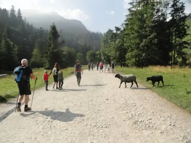 Jak bezpiecznie dojechać do Doliny Kościeliskiej z Zakopanego - kompletny plan