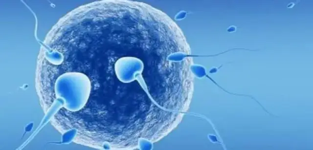 Czy dzieci z in vitro mają duszę? Kontrowersje i wierzenia w religiach