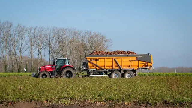 Gdzie składać wnioski o dopłaty do nawozów, aby nie przegapić szansy?
