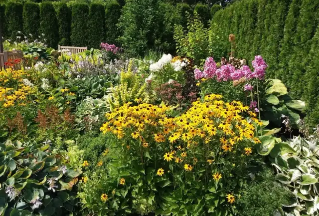 Siew kwiatów do gruntu: Jak mieć bujny ogród bez błędów?