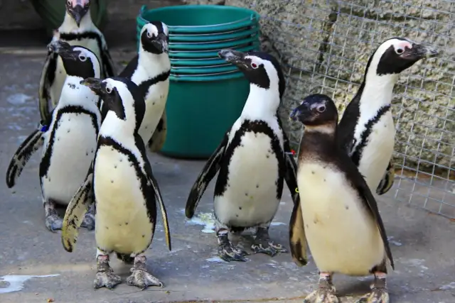 Poznań z dziećmi: Atrakcje i gotowy plan na niezapomniany weekend!