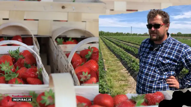 Kiedy jest sezon na truskawki w Polsce? Sprawdź daty i porady