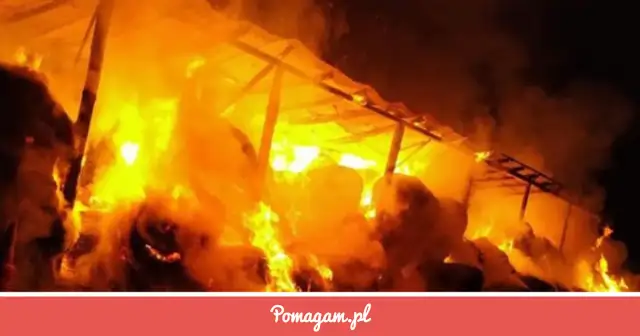 Pożar w stajni? Ocal konie! Kompletny poradnik prewencji