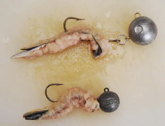 Mała rybka jako przynęta - jak skutecznie łowić większe ryby