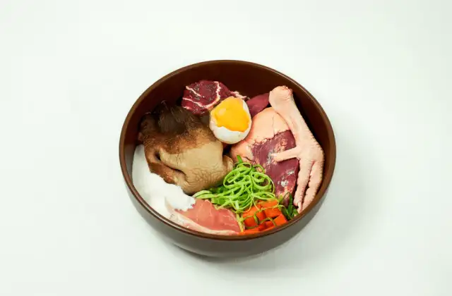 Ile surowego mięsa dla psa? Poznaj idealne proporcje dla zdrowia