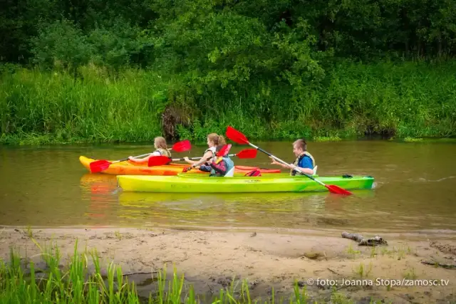 Spływy kajakowe Zwierzyniec: Jak zaplanować idealny spływ?