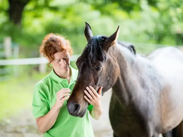 Cytaty o jeździectwie: Znajdź swoją inspirację i pasję!