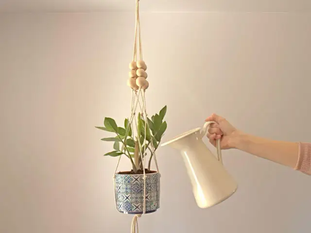 Stwórz wiszący kwietnik ze sznurka! Makrama DIY krok po kroku