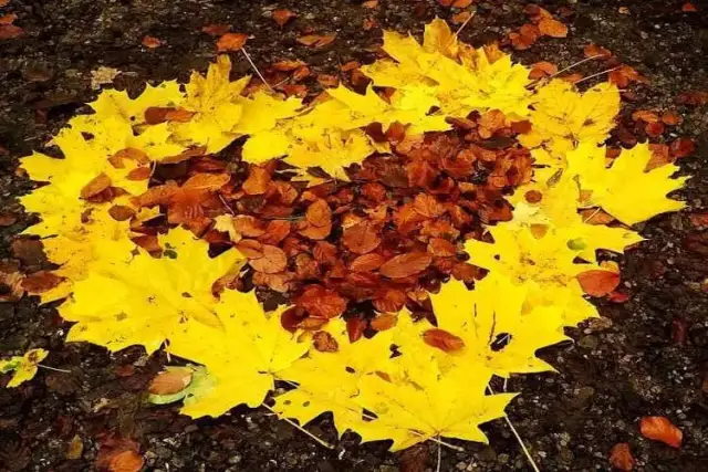 Złota jesień wiersz – piękno polskiej poezji o nostalgii i emocjach