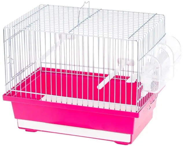 Ile kosztuje klatka dla kanarka? Ceny, wybór i porady eksperta.