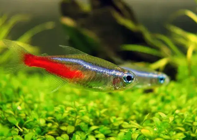 Ile kosztują neonki? Poznaj ceny i czynniki wpływające na wybór