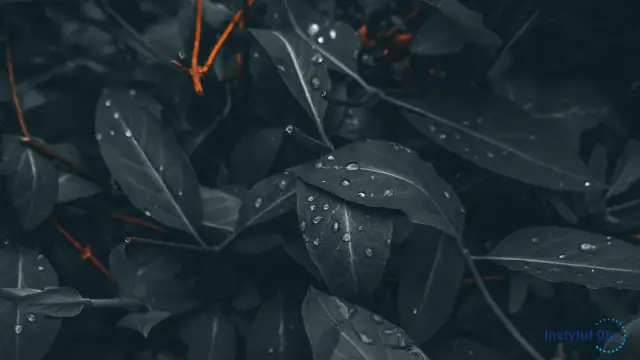 Daltonizm: Czy jest lekarstwo? Poznaj metody korekcji i wsparcia