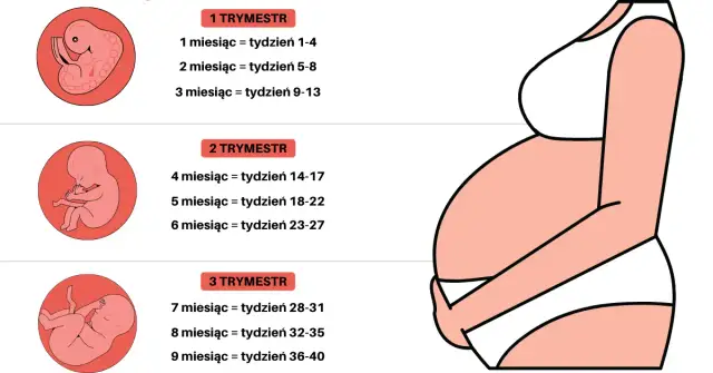 Morfologia a ciąża: Fakty i mity o rozpoznawaniu ciąży