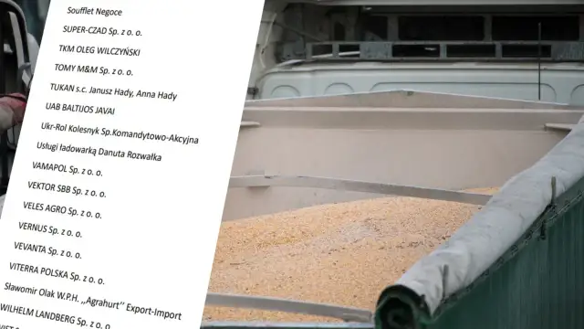 Jakie firmy sprowadzają zboże z Ukrainy? Odkryj ważne informacje