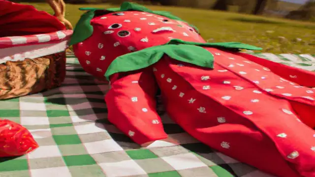 Jak zrobić strój truskawki dla dziecka – łatwe i kreatywne pomysły