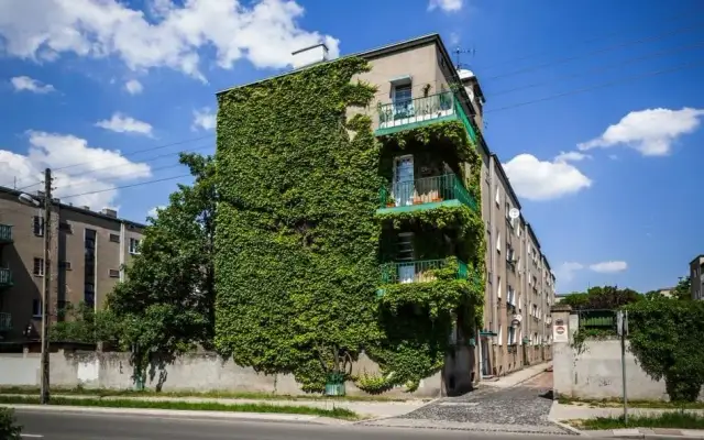 Czy warto wykupić grunt pod swoim mieszkaniem w bloku? Koszty i korzyści