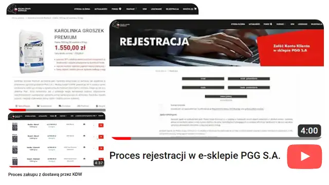 Jak kupić ekogroszek PGG? Przewodnik krok po kroku i porady