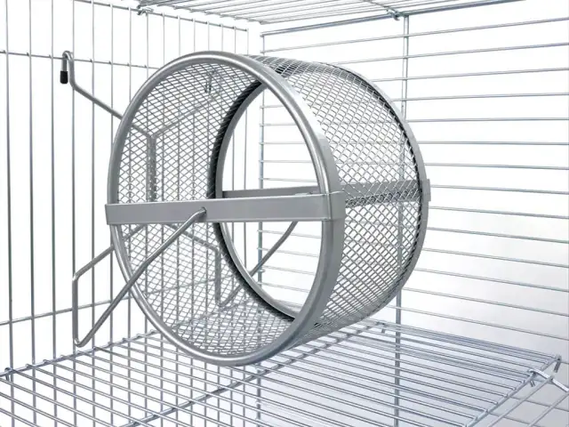 Jaka klatka dla szczura będzie najlepsza - poradnik wyboru i aranżacji
