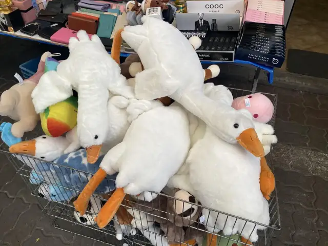 Ile kosztuje pluszowa gęś? Ceny, porównania i unikalne modele