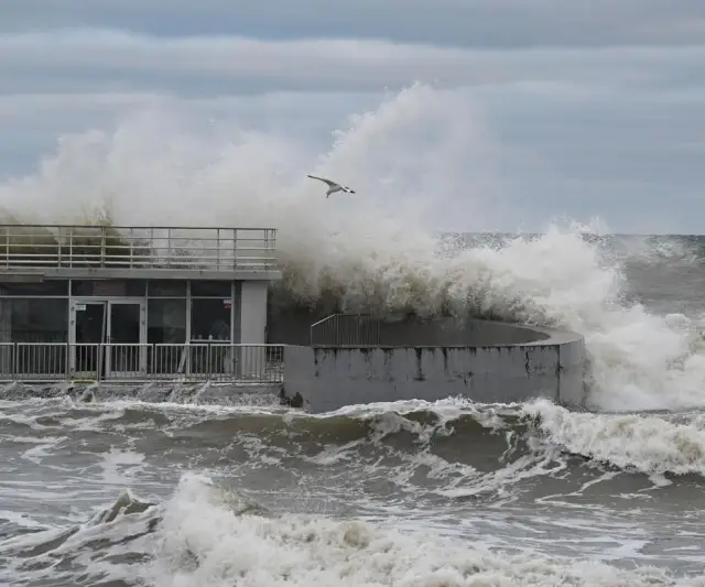 Pływy na Bałtyku: Dlaczego ich nie widać? Co to cofka?