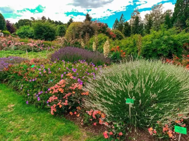Ogród botaniczny Dolny Śląsk: odkryj fascynujące rośliny i historię