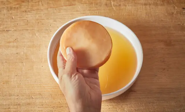 Grzybek kombuchy: To nie grzyb! Odkryj, czym jest SCOBY