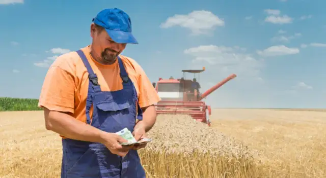 Do kiedy faktury za zboże? Nie przegap ważnych terminów!