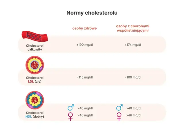 Czy cholesterol 240 to dużo? Normy, zagrożenia i skuteczne sposoby na obniżenie