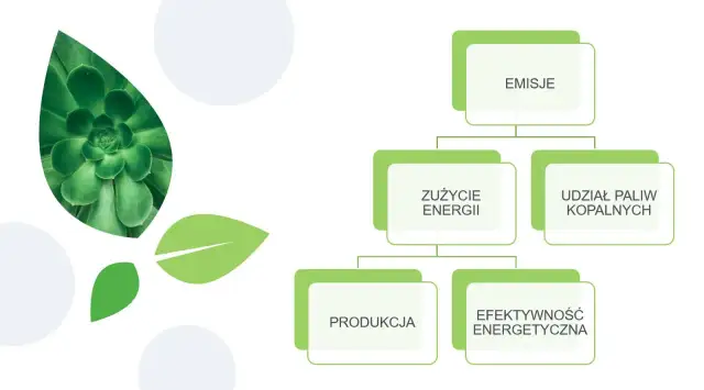 Jak emisja CO2 w g/km wpływa na środowisko i jak ją skutecznie zmniejszyć?