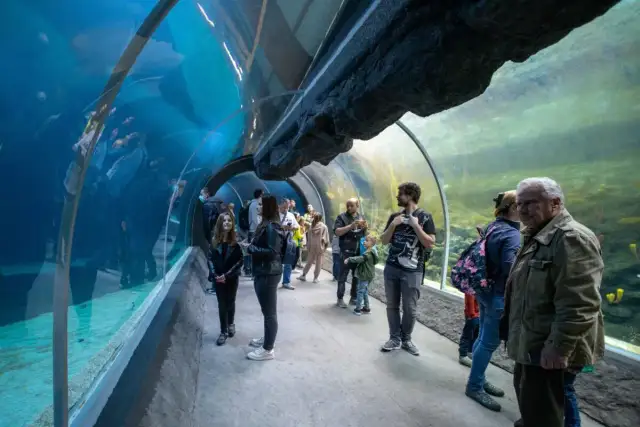 Oceanarium w Łodzi: Orientarium ZOO Planuj wizytę! Ceny i rekiny